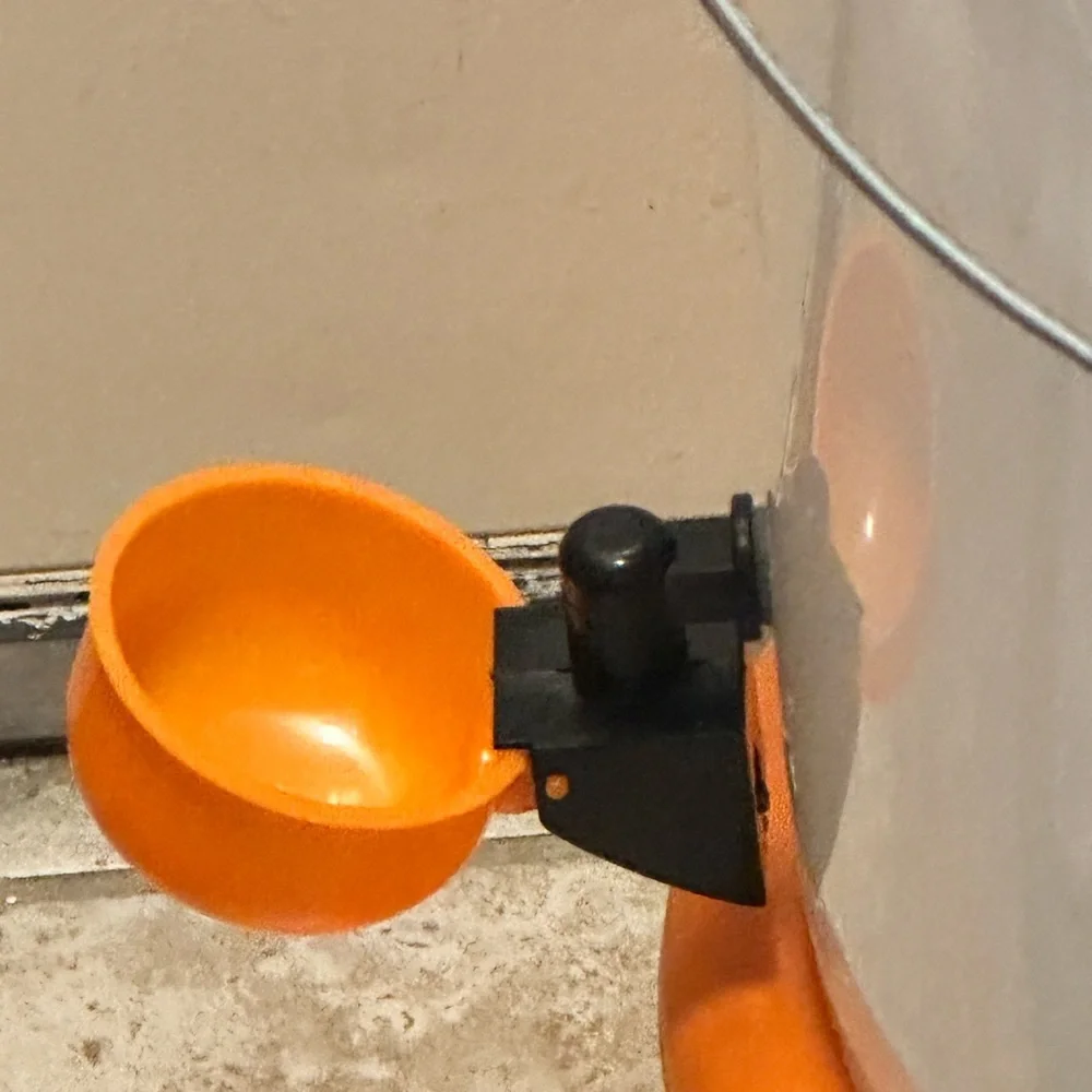 Automatic water feeder